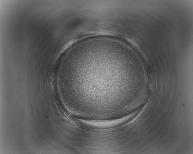X0000067861163200604201326