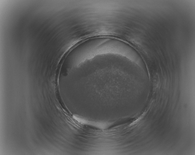 X0000067861170200604201326