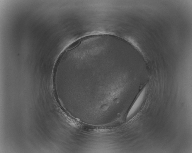 X0000067861173200604201326