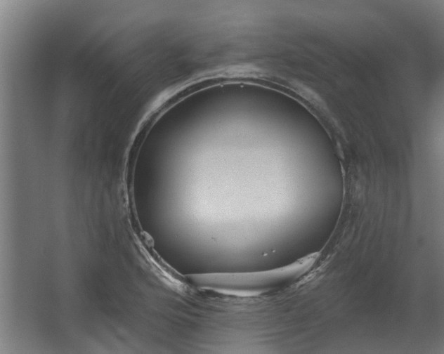 X0000067861176200604201326