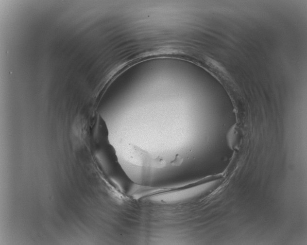 X0000067861177200604201326