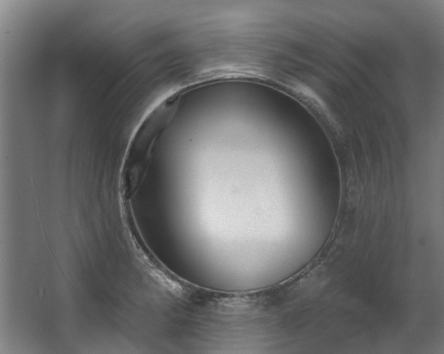 X0000067861182200604201326