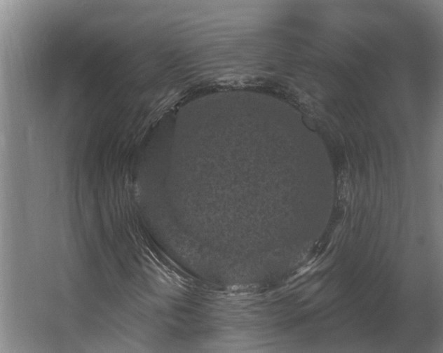 X0000067861202200604201325