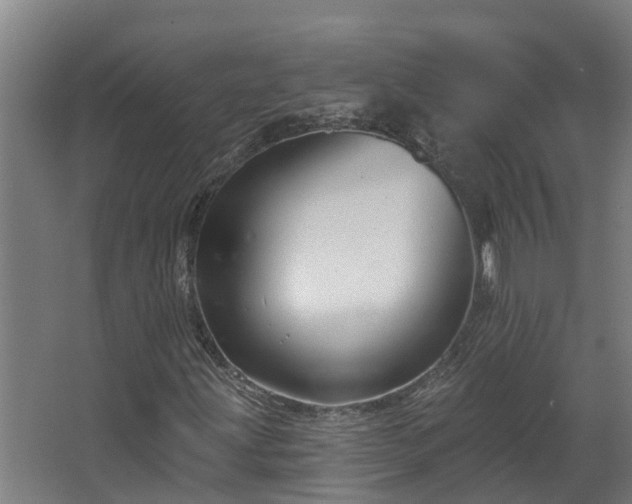 X0000067861203200604201325