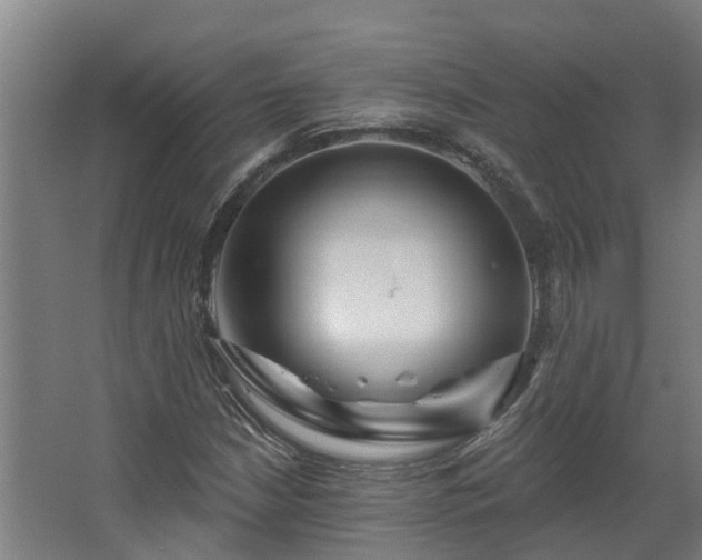 X0000067861210200604201325