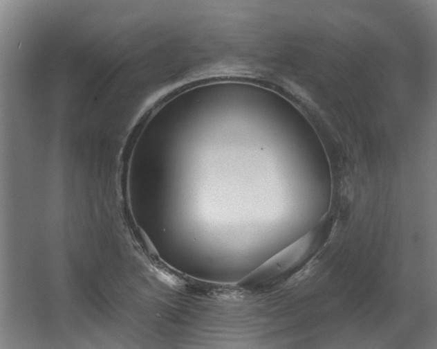 X0000067861222200604201325