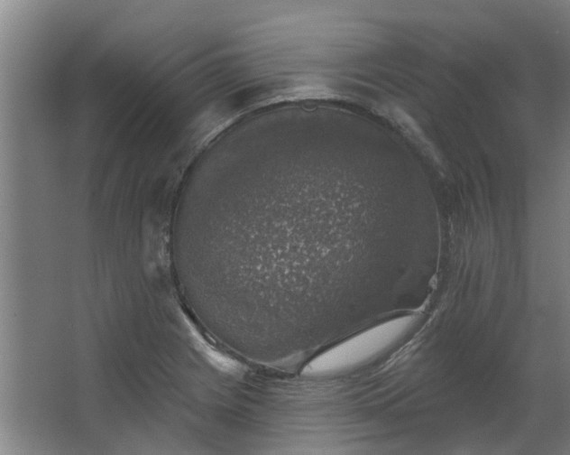 X0000067861225200604201325