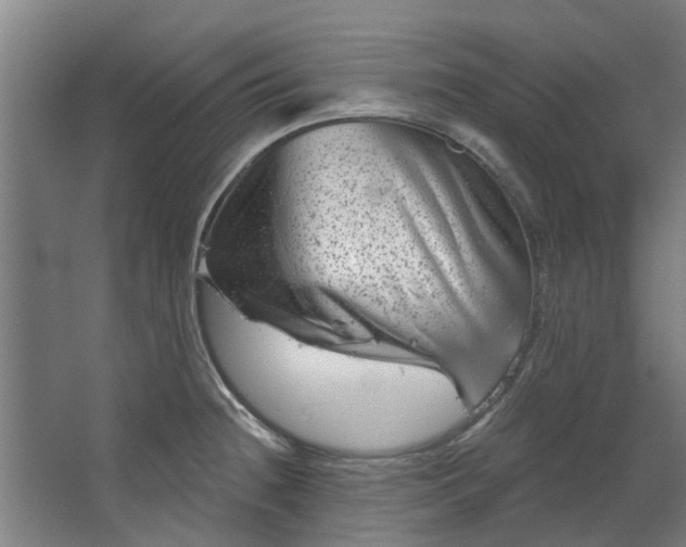 X0000067861236200604201325