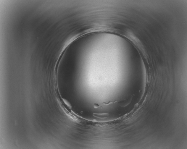 X0000067861242200604201325