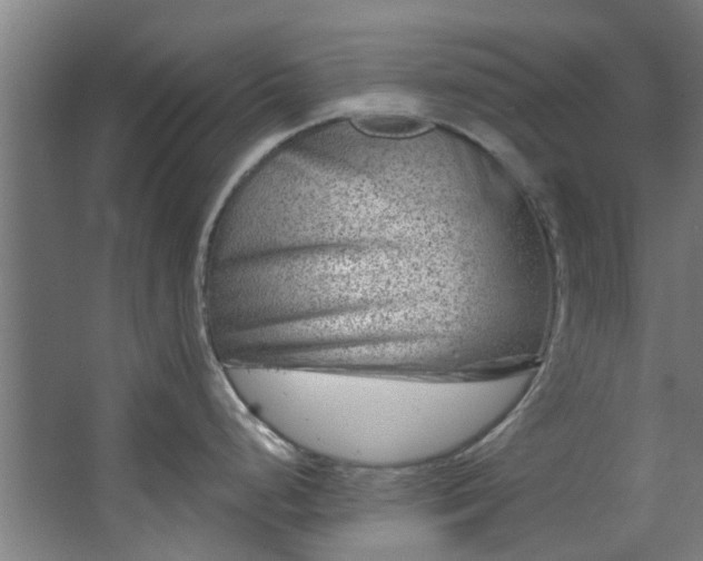 X0000067861248200604201325