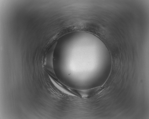 X0000067861250200604201325