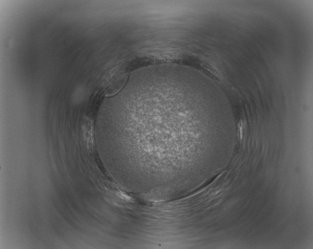 X0000067861251200604201325