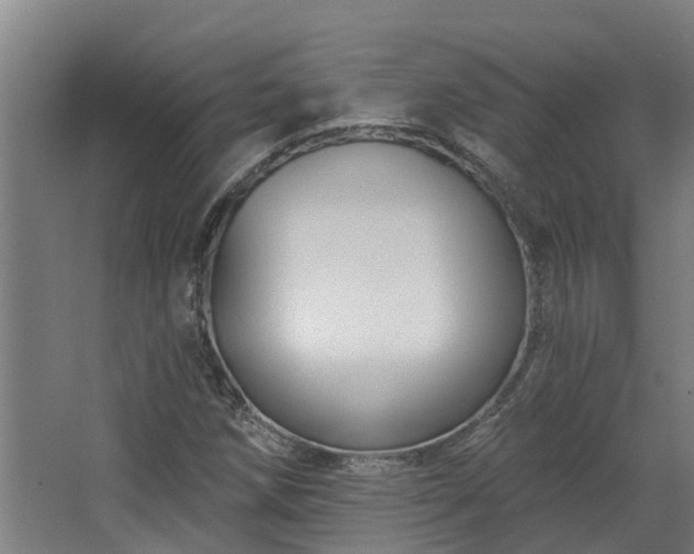 X0000067861258200604201324