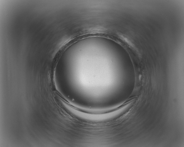 X0000067861261200604201324