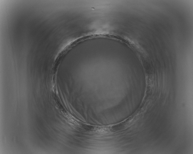 X0000067861262200604201324