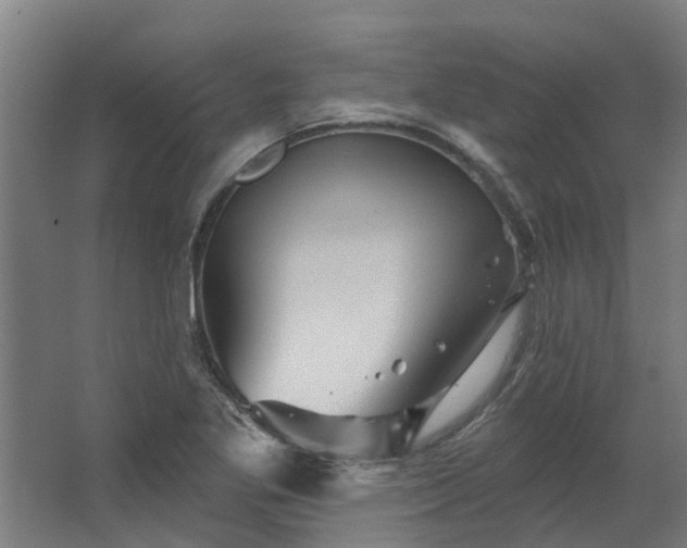 X0000067861269200604201324