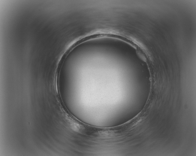 X0000067861272200604201324