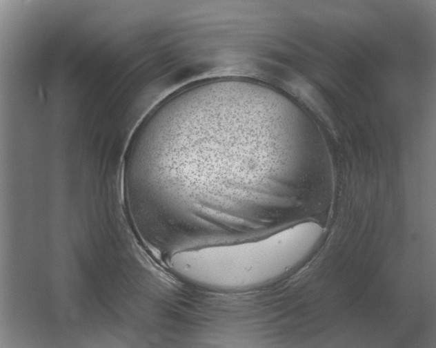 X0000067861276200604201324
