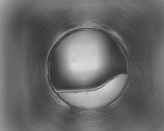 X0000067861280200604201324