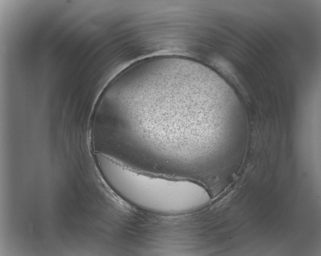 X0000067861284200604201324