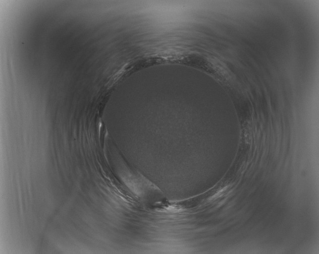 X0000067861298200604201323