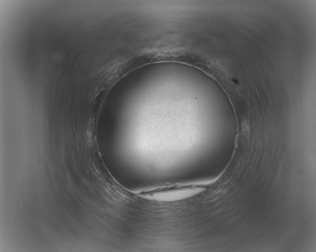 X0000067861300200604201323