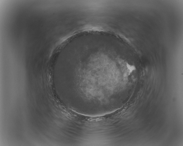 X0000067861303200604201323
