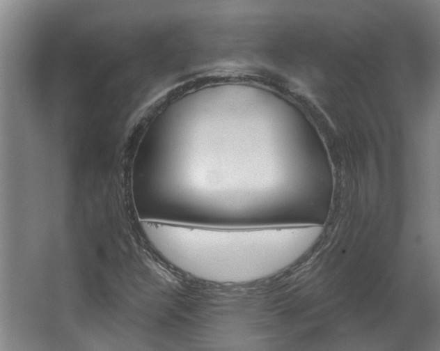 X0000067861304200604201323