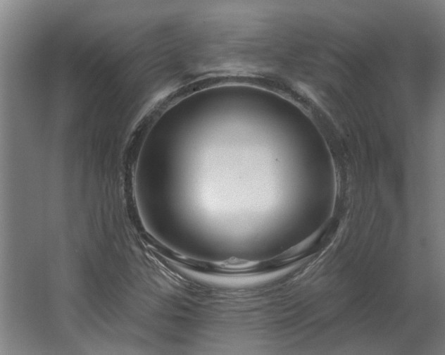 X0000067861307200604201323