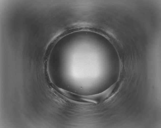 X0000067861309200604201323