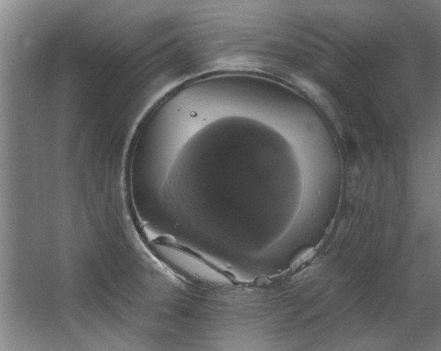 X0000067861331200604201323