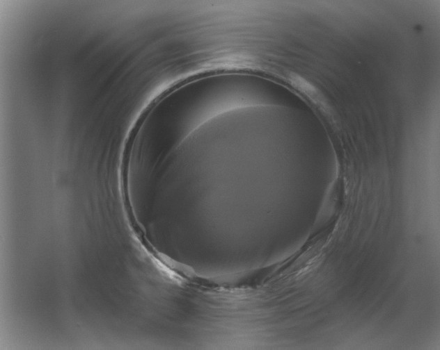 X0000067861334200604201324