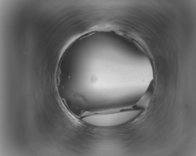 X0000067861344200604201324
