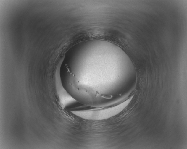 X0000067861345200604201323