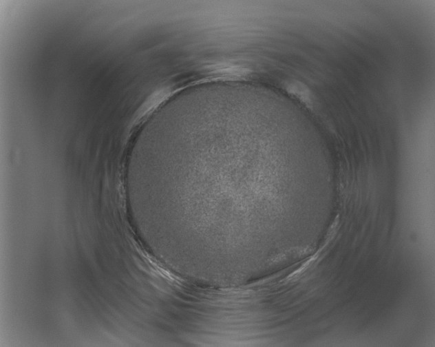X0000067861354200604201323