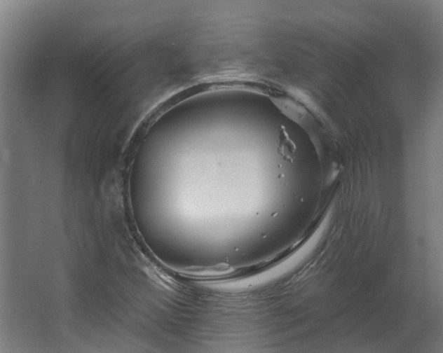 X0000067861356200604201323