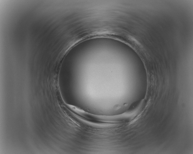 X0000067861361200604201323