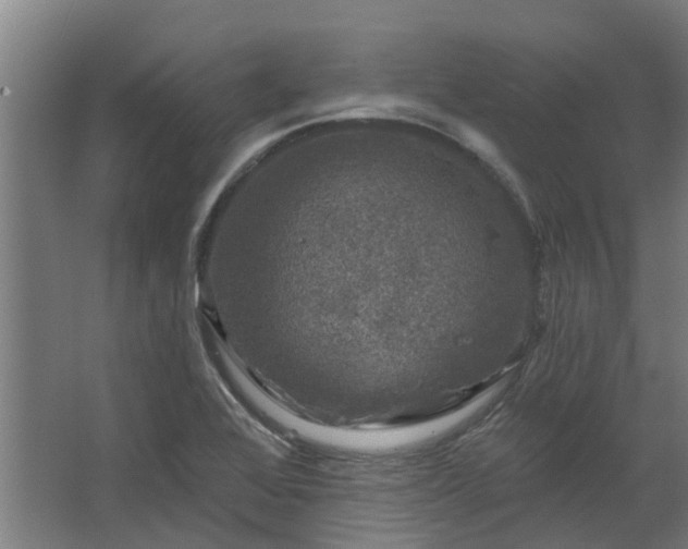 X0000067861368200604201323