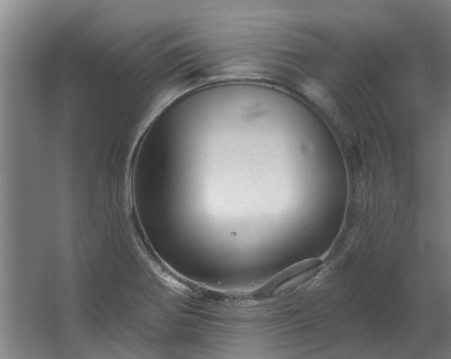 X0000067861370200604201322
