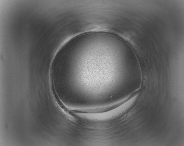 X0000067861375200604201322