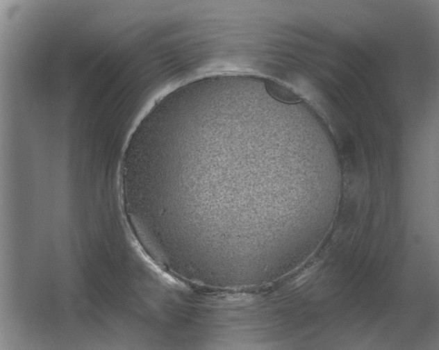 X0000067861382200604201322
