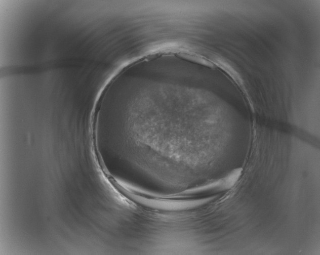 X0000067861392200604201322