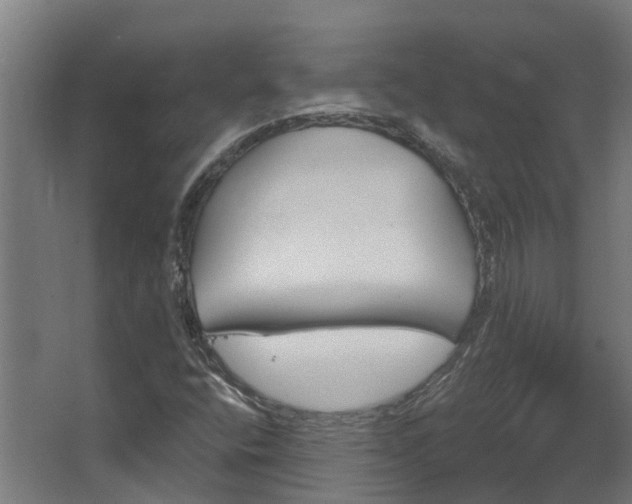 X0000067861400200604201321