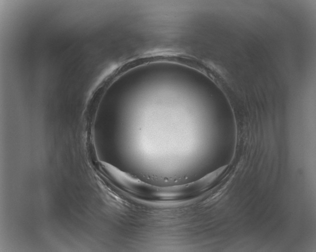X0000067861406200604201321