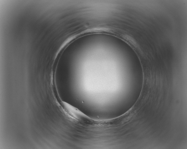 X0000067861420200604201322