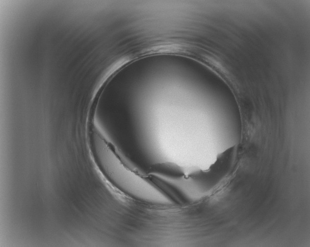 X0000067861426200604201322