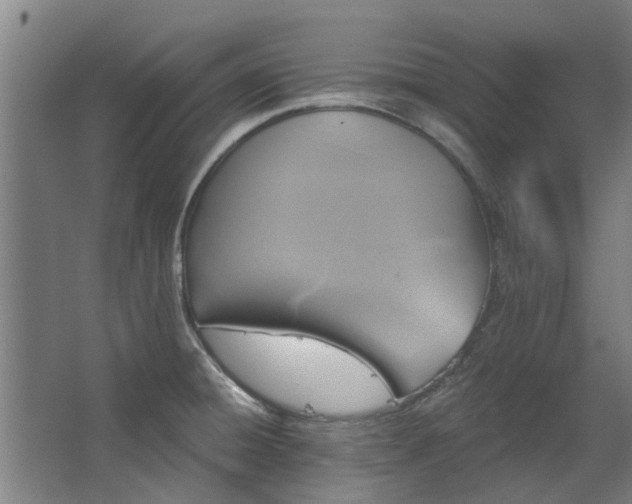 X0000067861428200604201322