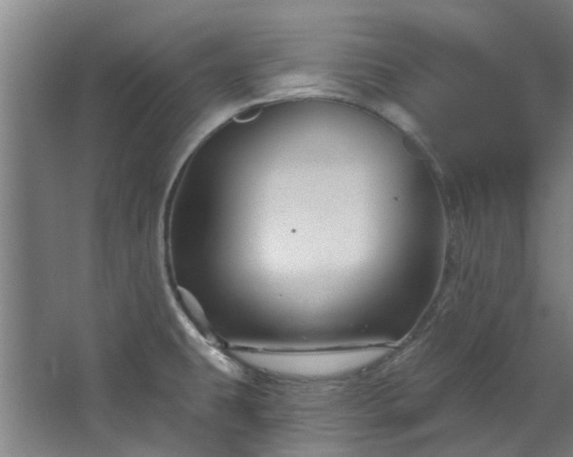 X0000067861431200604201322