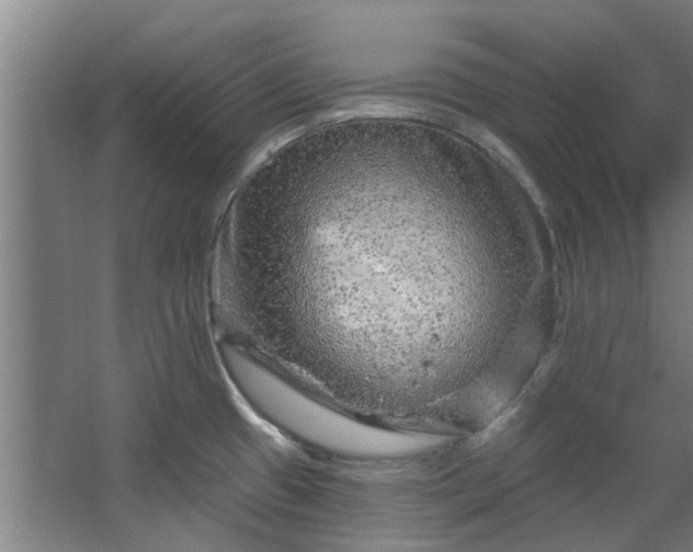 X0000067861433200604201322