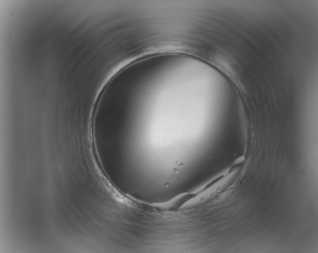 X0000067861436200604201322